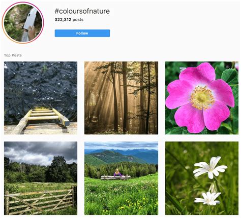 instagram hashtags for model photography|Top Photography Hashtags To Grow Your Instagram Account